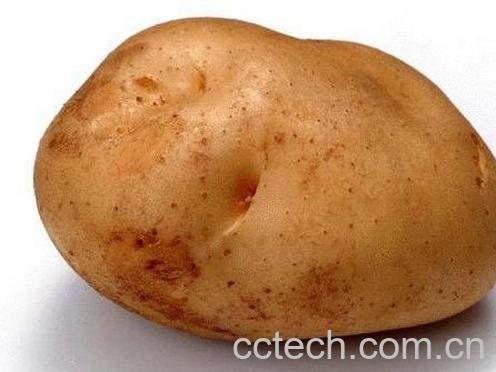 果蔬百科土豆削皮后能放多久 土豆削皮后变黑是什么原因-0