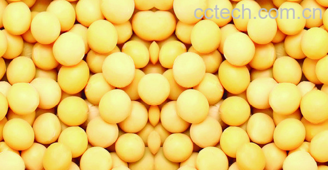 果蔬百科黄豆-0