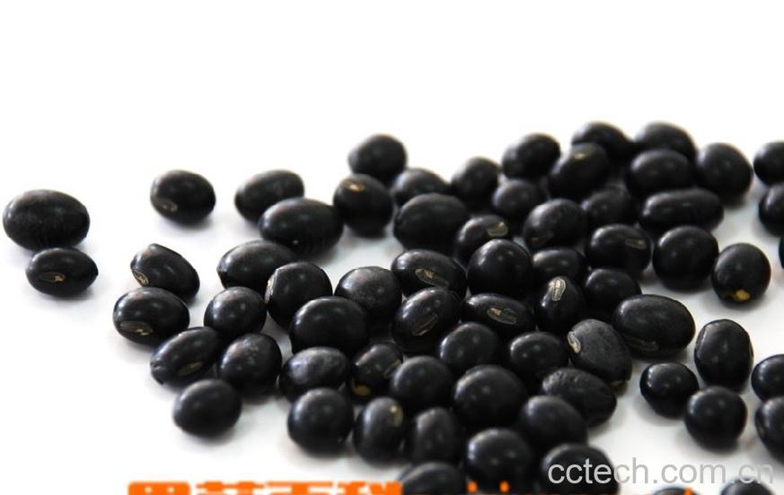 果蔬百科黑豆-0