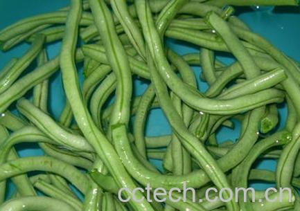 果蔬百科蛇豆-0