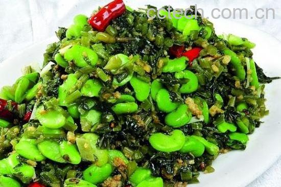 果蔬百科蚕豆-0