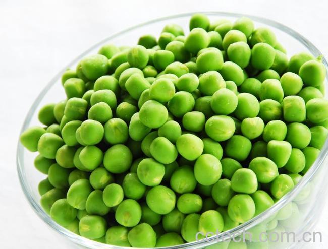 果蔬百科青豆-0