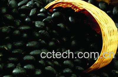 果蔬百科黑豆-0