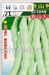 果蔬百科芸豆-0