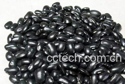 果蔬百科芸豆-0