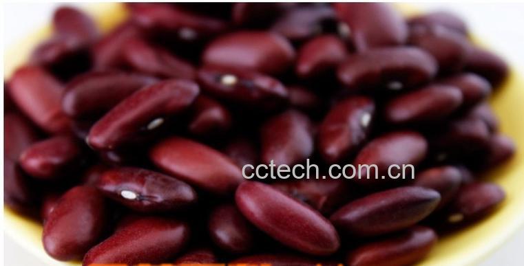 果蔬百科芸豆-0