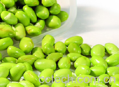 果蔬百科青豆-0