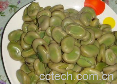 果蔬百科蚕豆-0