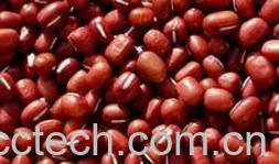 果蔬百科红豆-0