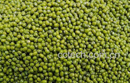 果蔬百科绿豆-0