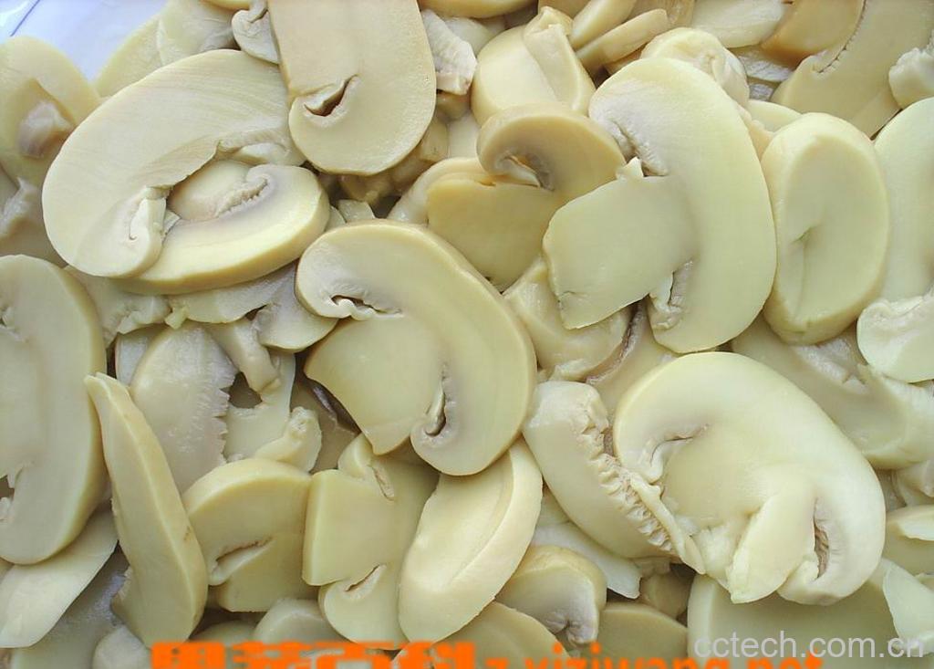 果蔬百科白扁豆-0