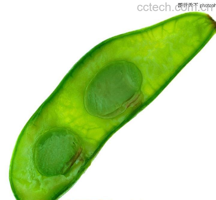 果蔬百科扁豆-0