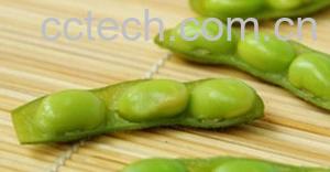 果蔬百科毛豆-0