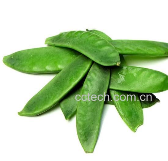 果蔬百科扁豆-0