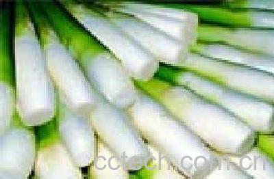 果蔬百科茭白-0