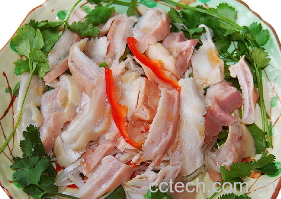 果蔬百科猪肚-0