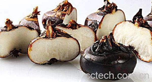 果蔬百科荸荠-0