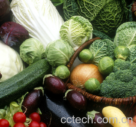 果蔬百科蔬菜-0