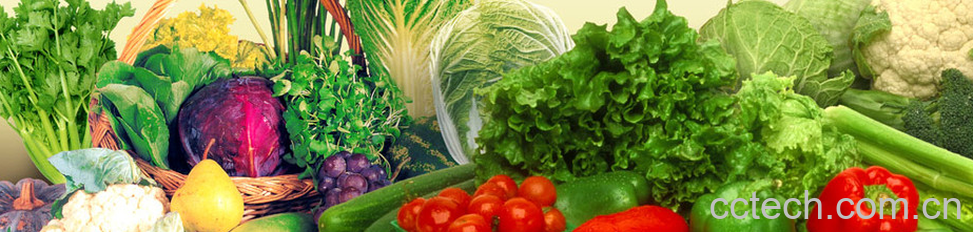 果蔬百科食物-0