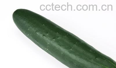 果蔬百科青瓜汁-0