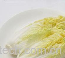 果蔬百科娃娃菜-0