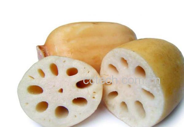 果蔬百科莲藕-0