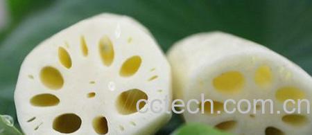 果蔬百科莲藕-0