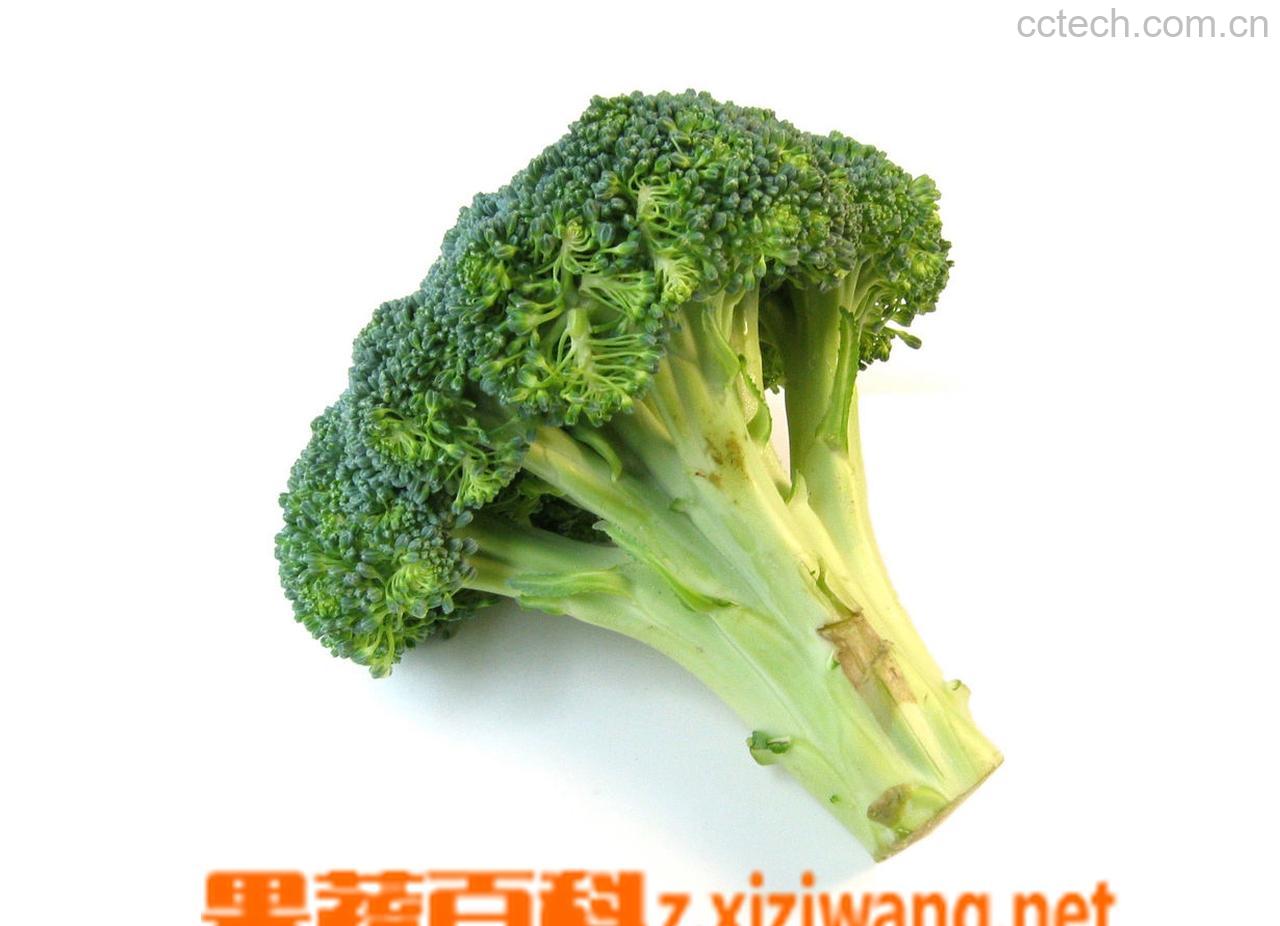 果蔬百科青花菜-0