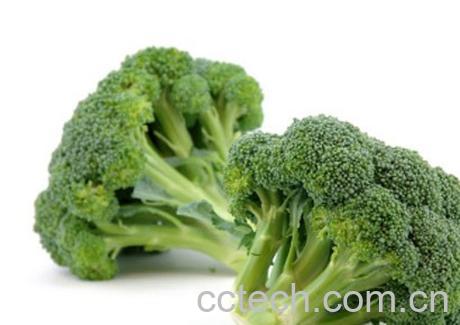 果蔬百科青花菜-0