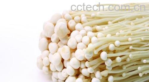 果蔬百科金针菇-0