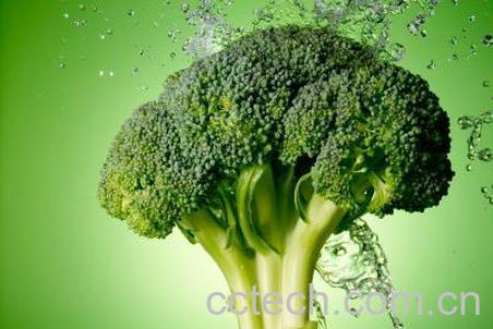 果蔬百科西兰花-0