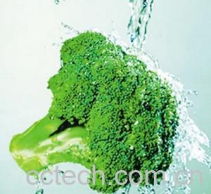 果蔬百科西兰花-0