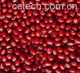 果蔬百科红小豆-0