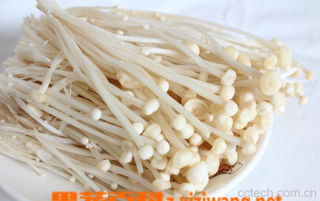 果蔬百科金针菇-0