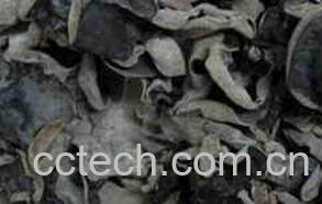 果蔬百科木耳-0