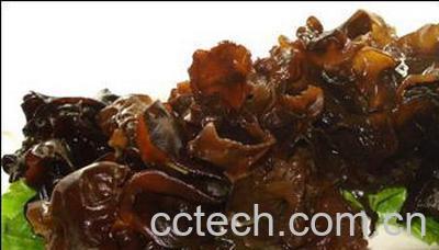 果蔬百科木耳-0