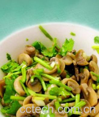 果蔬百科凉拌口蘑-0