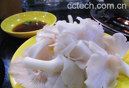 果蔬百科凤尾菇-0