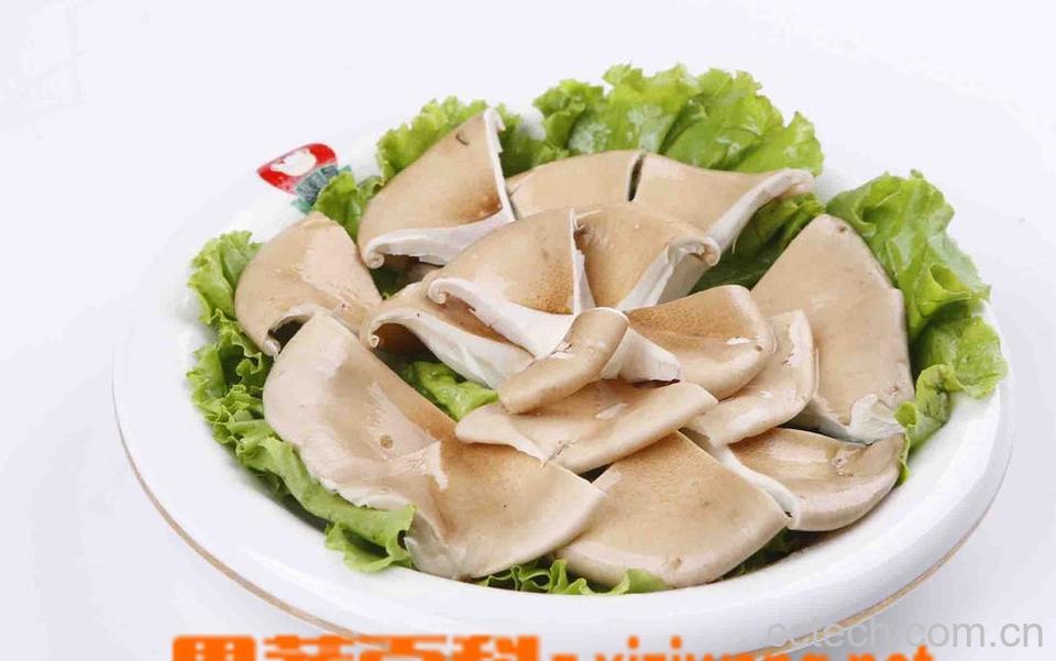 果蔬百科猪肚菇-0