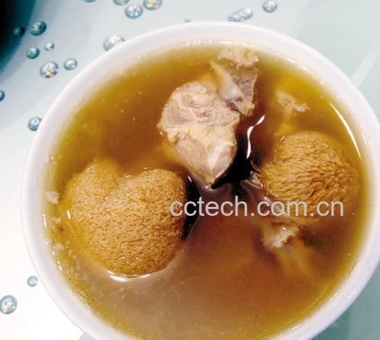 果蔬百科猴头菇-0