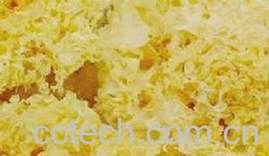 果蔬百科银耳-0