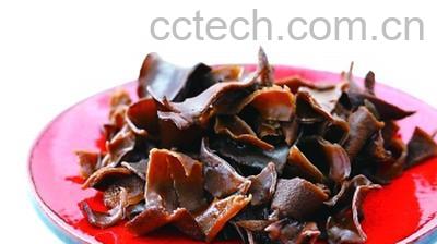 果蔬百科黑木耳-0