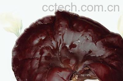 果蔬百科黑木耳-0