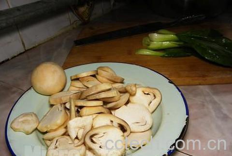 果蔬百科草菇-0