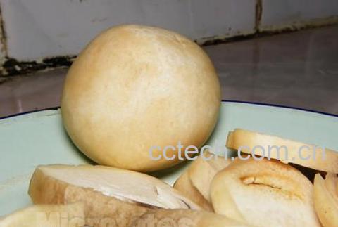 果蔬百科草菇-0