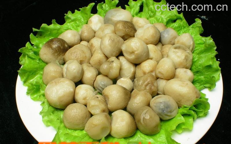 果蔬百科草菇-0