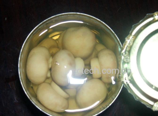 果蔬百科草菇-0