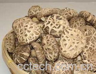 果蔬百科香菇-0