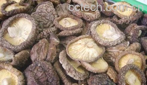 果蔬百科干香菇-0