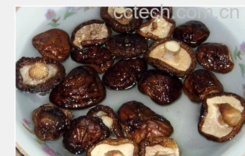 果蔬百科干香菇-0